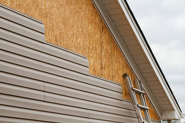 Best Vinyl Siding Installation  in Ettrick, VA